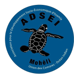 Logo_ADSEI