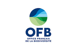 OFB-1